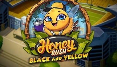 Honey Rush Black and Yellow